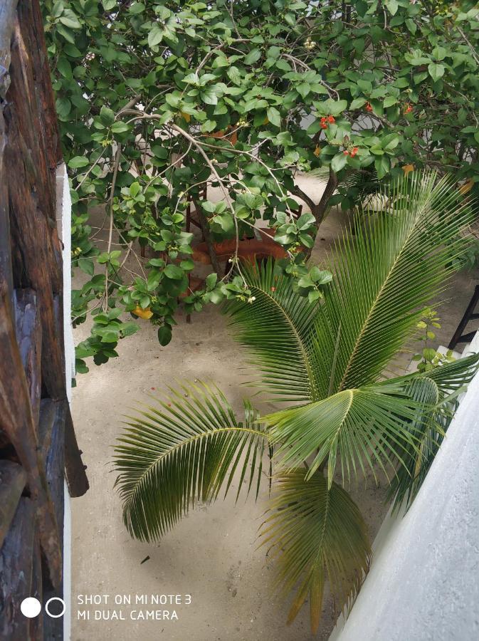 Posada Yalekin Holbox Εξωτερικό φωτογραφία