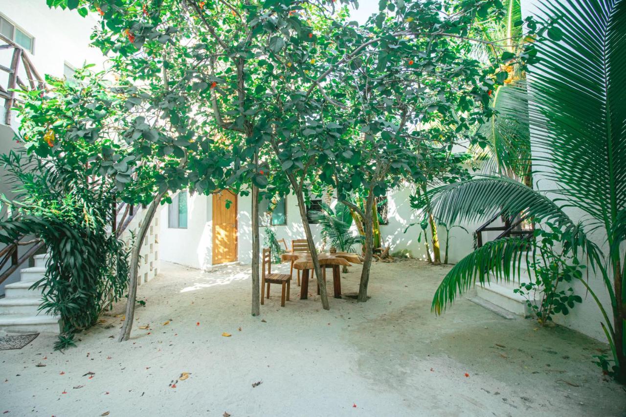 Posada Yalekin Holbox Εξωτερικό φωτογραφία
